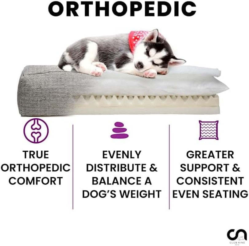 Metal Metro Orthopedic Dog Bed